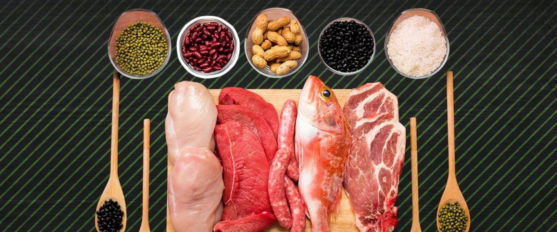 Proteins for Muscle Building: A Comprehensive Overview